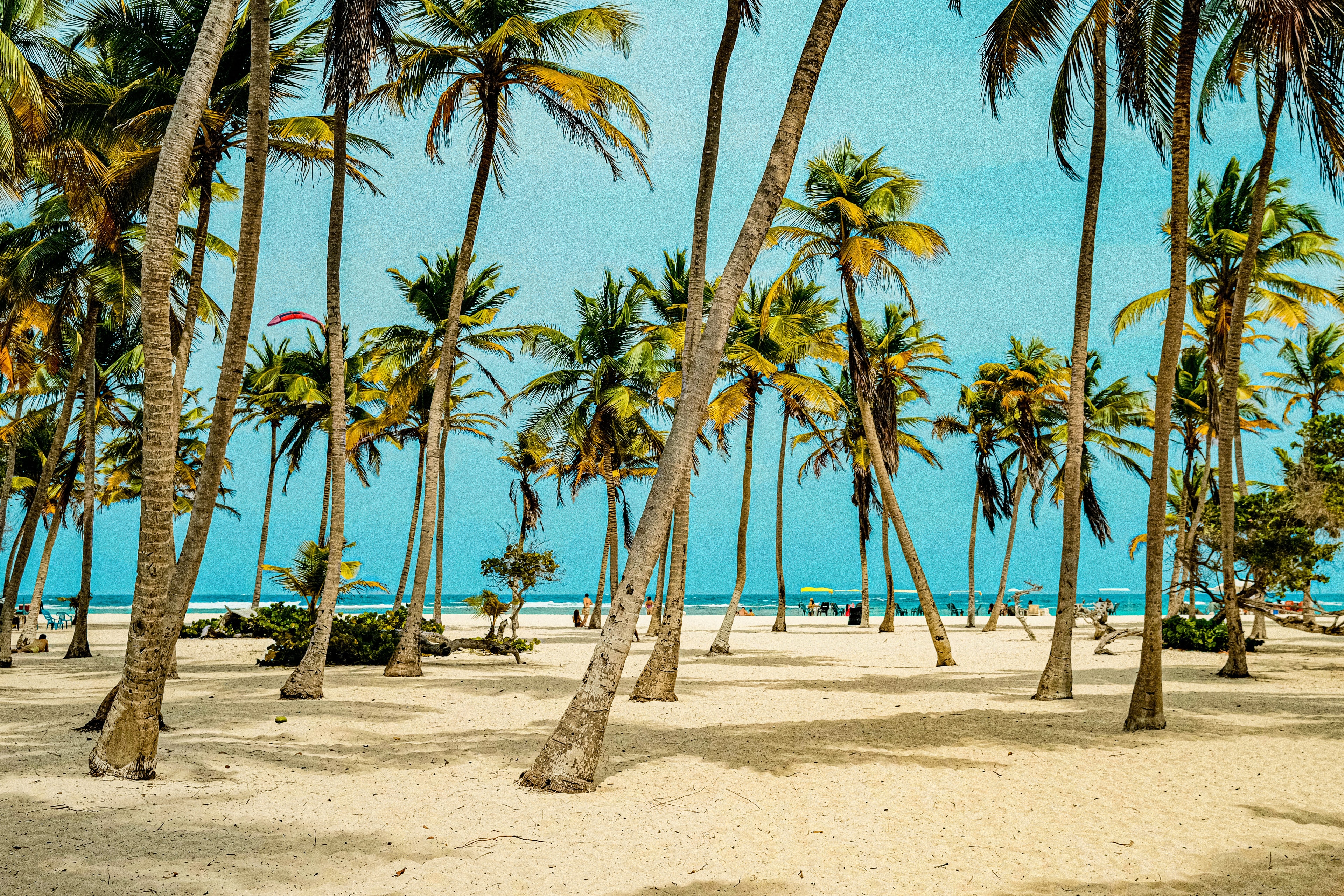 Venezuela - Paisaje caribeño