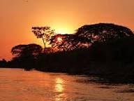 Los Llanos Wildlife Safari: South America's Untamed Savanna - 2