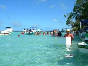 Morrocoy National Park : Turquoise Cays & Mangrove Labyrinths - 4