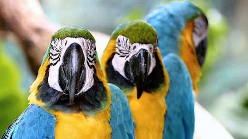 Relámpago del Catatumbo - 4