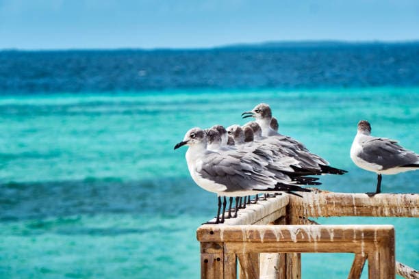 Los Roques Archipelago - 4
