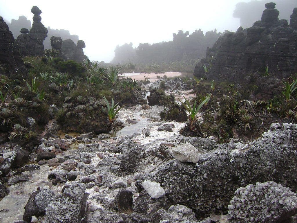 Crystal Valley