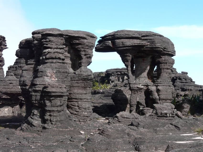 Trekking al Tepuy Roraima. El Mundo Perdido 9 D / 8 N - Image 3