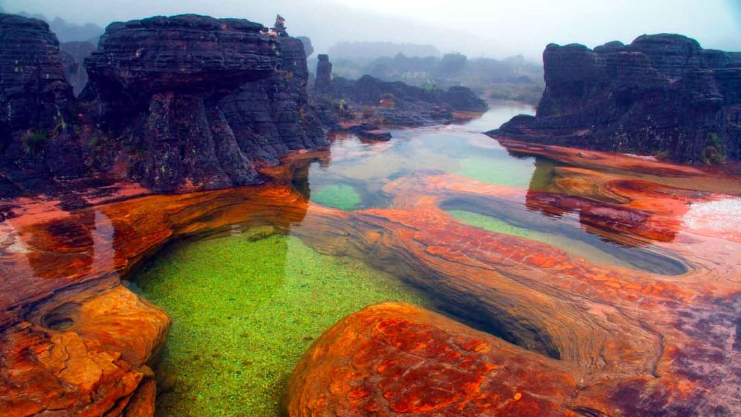 Trekking al Tepuy Roraima. El Mundo Perdido 9 D / 8 N - Image 5