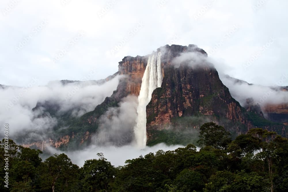 Canaima - Salto Ángel | Campamento Categoría Standard