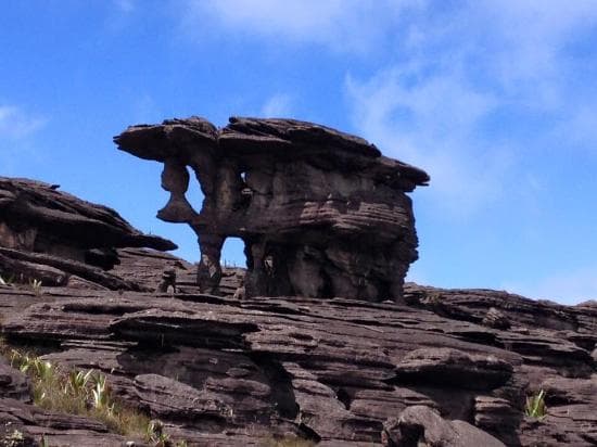 Mount Roraima Tepuy Trekking: The Lost World (10 Days / 9 Nights) - Image 2
